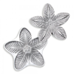 xx_frisadorgolfrador-estrelinha-do-mar-molde-em-aluminio-fundid-d8e0216250b617b831f8b24696691f9e.jpg